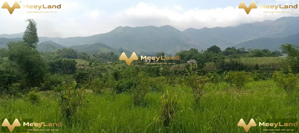 Bán đất Cao Phong, Hòa Bình, diện tích rộng 2500 m2 full thổ cư còn chần chờ gì nữa