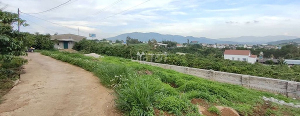 Quốc Lộ 20, Lâm Đồng bán đất giá bán khởi điểm từ 2 tỷ với diện tích rộng 518m2-02