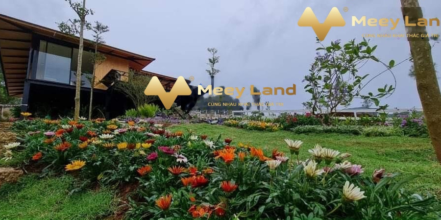 Có diện tích 112 m2 bán nhà vị trí đẹp tọa lạc ngay ở Bảo Lộc, Tỉnh Lâm Đồng liên hệ chính chủ.-01