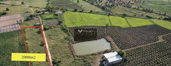 Bán đất 150 triệu Phan Thanh, Bình Thuận diện tích thực như trên hình 2000m2-03