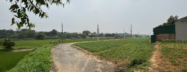 Bán đất diện tích thực là 185m2 vị trí đặt tại Chu Hóa, Việt Trì hỗ trợ mọi thủ tục miễn phí, giá mùa dịch.-02