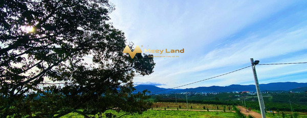 Bán mảnh đất 200m2 Di Linh, Lâm Đồng, giá 1,2 tỷ-02