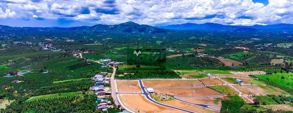 Bán đất 650 triệu Bảo Lâm, Lâm Đồng diện tích sàn là 120m2-03