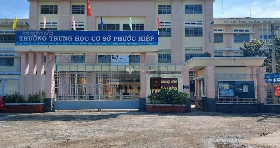 490 triệu bán đất với diện tích chuẩn 140m2 vị trí thuận lợi ngay trên Củ Chi, Hồ Chí Minh-01