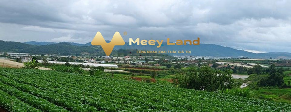 Bán đất 395 triệu Đơn Dương, Lâm Đồng diện tích như sau 130 m2-02