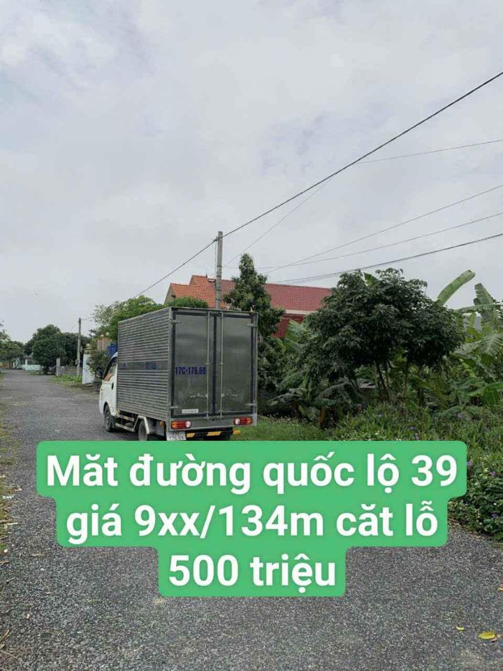 Bán đất huyện Tiền Hải tỉnh Thái Bình giá 500.0 triệu-0