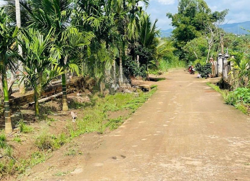 Tam Giang, Đắk Lắk bán đất giá chỉ từ 120 triệu có diện tích chuẩn 160m2-01