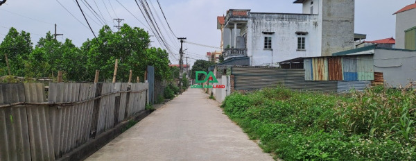 Bán đất Tuân Lề, Tiên Dương, giá rẻ diện tích 90,4m2-02