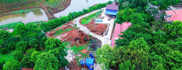 Tại Lê Hồng Phong, Gia Nghĩa, cho thuê nhà, giá thuê ngay chỉ 10 triệu/tháng diện tích sàn là 3000m2, căn này gồm 3 phòng ngủ hỗ trợ pháp lý-02
