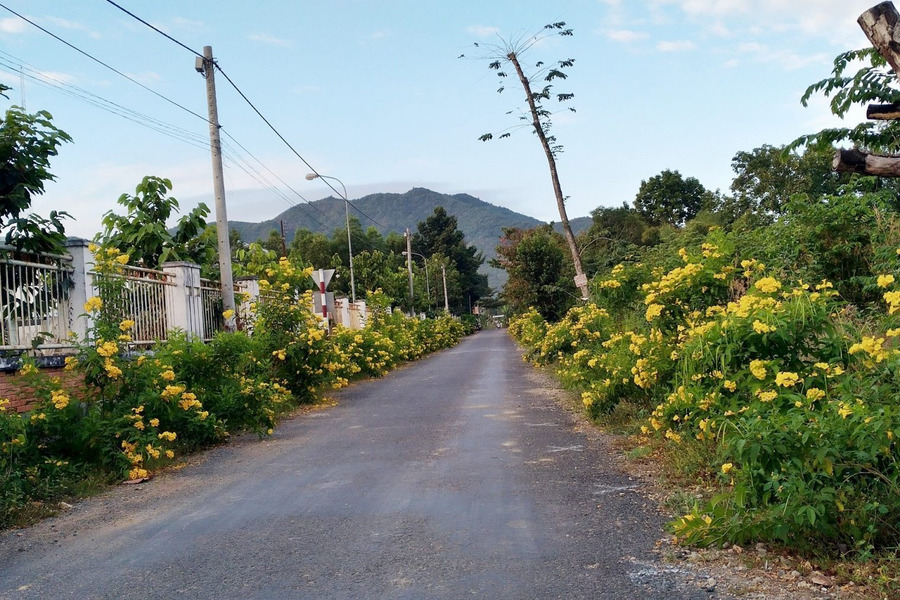 Bán nhà 2 tầng trung tâm Phú Mỹ, thổ cư-01