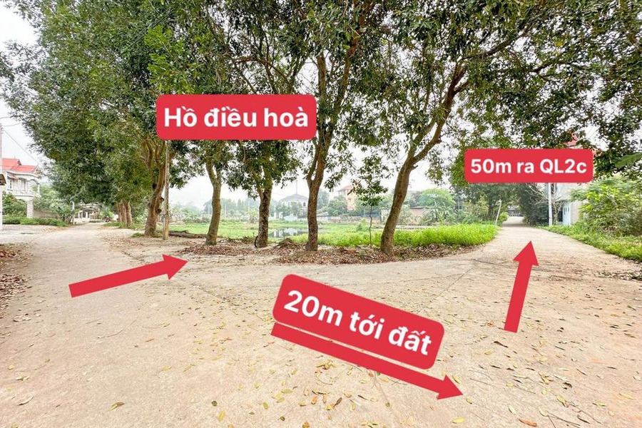 Cần bán đất huyện Tam Dương, tỉnh Vĩnh Phúc giá 1 tỷ-01