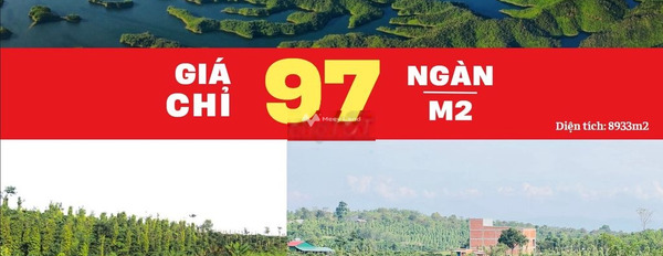Khoảng 860 triệu bán đất có diện tích trung bình 8933m2 vị trí đặt nằm ở Quảng Tân, Đắk Nông-03