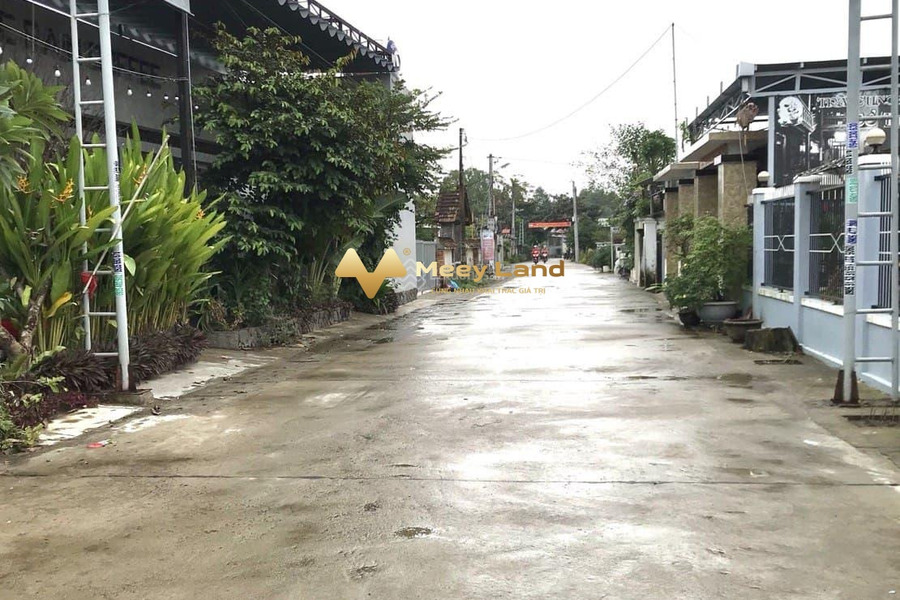 Bán mảnh đất 115m2 giá hợp lý 590 triệu vị trí đặt tại đường Tích Phú, huyện Đại Lộc khách-01