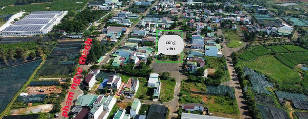 Bán nhà vị trí đẹp tại Bảo Lộc, Lâm Đồng bán ngay với giá đặc biệt từ 2.65 tỷ có diện tích gồm 100m2-03