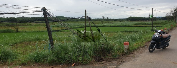 400 triệu bán đất có một diện tích là 1120m2 vị trí nằm tại Võ Văn Kiệt, Bình Hòa-02
