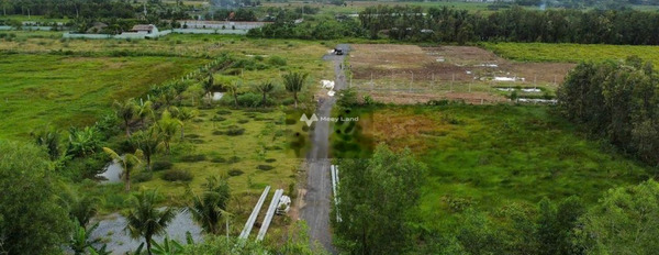 Chính chủ bán gấp 1000m2 đất vườn quy hoạch đất ở Quốc Lộ 20, Đồng Nai-03