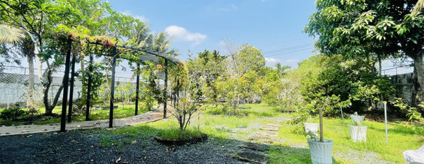 Bán nhà vườn mặt tiền Tỉnh Lộ 7, DT 995m2 có 702m2 thổ cư nở hậu đẹp tại xã Trung Lập Hạ, Củ Chi giá hợp lý-02