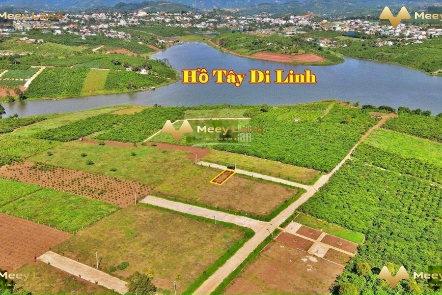 Di Linh, Lâm Đồng 1 tỷ bán đất có dt tổng 150 m2-01