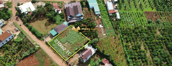 Huyện Di Linh, Tỉnh Lâm Đồng bán đất giá cơ bản 3 tỷ có dt trung bình 1030 m2-03