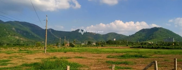 Vị trí mặt tiền nằm trên Hàm Tân, Bình Thuận bán đất giá bán siêu mềm từ 14.5 tỷ với diện tích là 16500m2, chiều ngang lộ ngang 6 mét-03