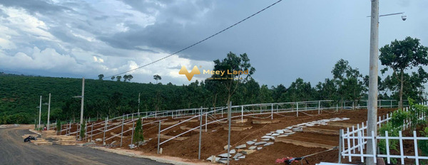 Bán đất diện tích thực dài 100m2 vị trí đẹp tọa lạc ở xã Lộc An, tỉnh Lâm Đồng-02