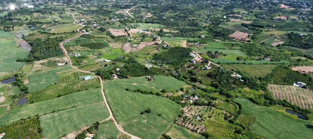 Ea Kar, Đắk Lắk bán đất giá mềm chỉ 1.3 tỷ diện tích thực dài 14m2