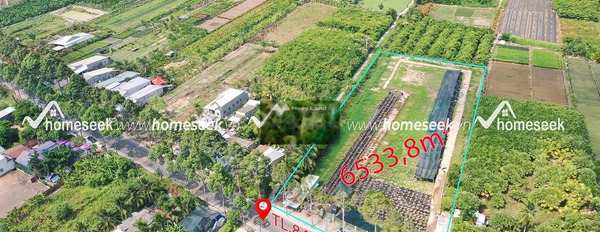 Bán đất Tân Khánh Đông, Đồng Tháp diện tích khoảng 5338m2-02