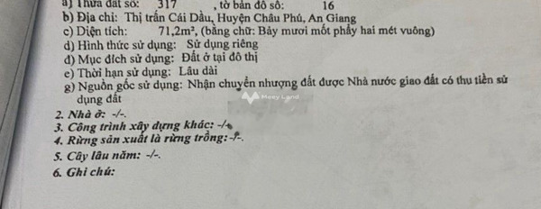 Bây giờ tôi bán đất Cái Dầu, Châu Phú giá bán bàn giao 2.8 tỷ có diện tích thực là 152m2-02