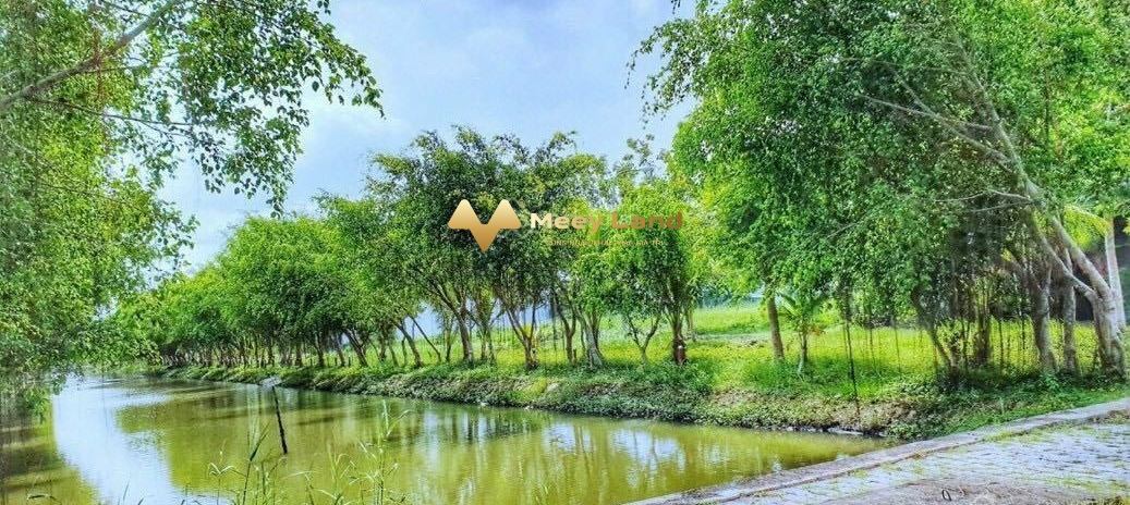 Giá bán mua ngay từ 9.81 tỷ bán đất dt 302m2 vị trí mặt tiền ngay Đường Huỳnh Tấn Phát, Xã Phú Xuân