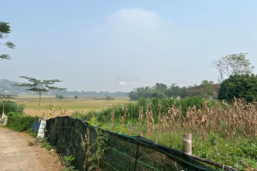 Bán đất Phú Mãn hơn 1 tỷ / sổ, Quốc Oai 450m2 có 250 thổ cư view hồ sen sẵn 3 sổ vị trí trung tâm-01