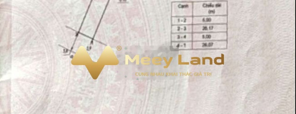 Bán đất 650 triệu, Phú Hội, Lâm Đồng diện tích thực 130 m2-03
