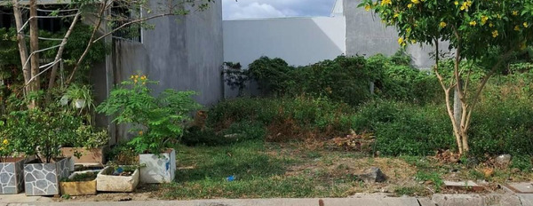 Bán đất trong khu dân cư Phú Ân Nam 2 - Diên An mặt tiền đường nhựa 13m-02