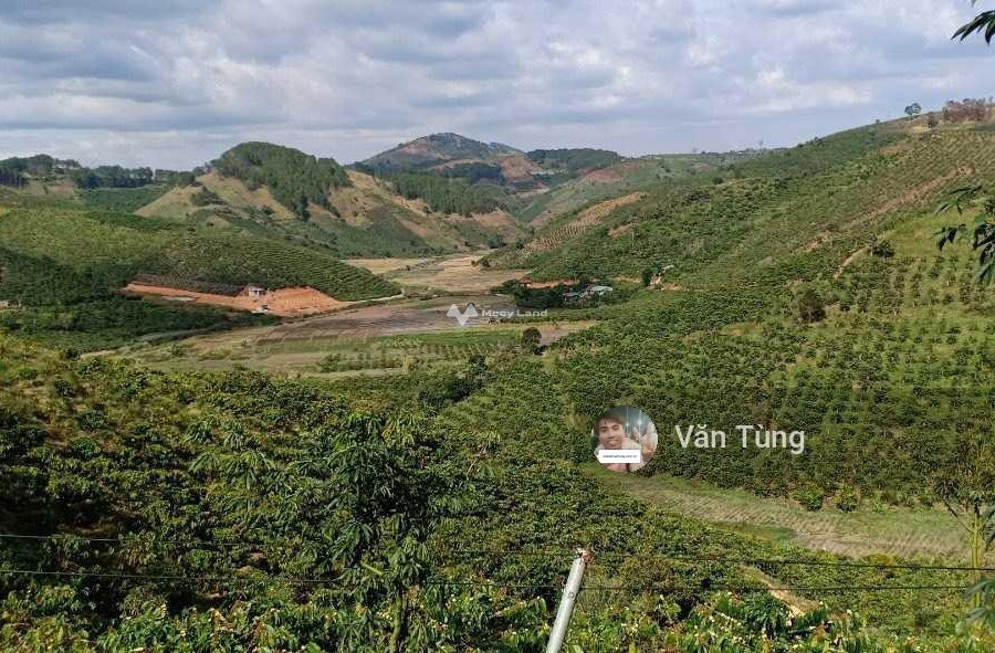 Bán đất 1.98 tỷ Phi Tô, Lâm Hà diện tích thực dài 4400m2-01