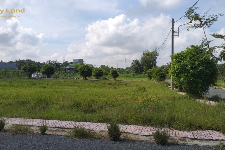 Bán đất nền Châu Thành - Tiền Giang, cách quốc lộ 1A khoảng 2km-01