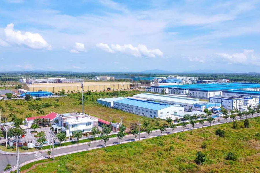 Phạm Hùng, Bà Rịa-Vũng Tàu bán đất giá rẻ chỉ 730 triệu có diện tích tiêu chuẩn 115m2-01