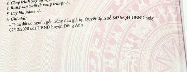 Bán đất diện tích 65m2 tại Đài Bi, Đông Anh-03