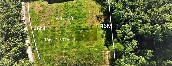 Bán đất 4.9 tỷ Trảng Bàng, Tây Ninh diện tích tầm trung 1579m2-03