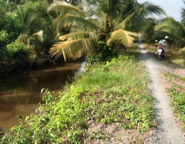 Mặt tiền nằm ngay Lương Hòa, Long An bán đất, giá bán hấp dẫn từ 2.5 tỷ toàn bộ khu vực có diện tích 4600m2-01