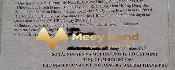 Bán nhà diện tích 24m2 tại Quang Trung, Hồ Chí Minh-02