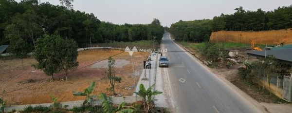 Vị trí ngay ở Thanh Thủy, Phú Thọ bán đất giá êm chỉ 930 triệu Có tổng diện tích 205m2-02