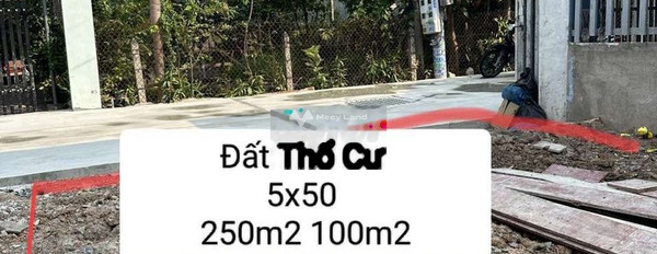 Dầu Tiếng, Bình Dương bán đất giá bán rẻ bất ngờ 550 triệu có diện tích thực 250m2-02