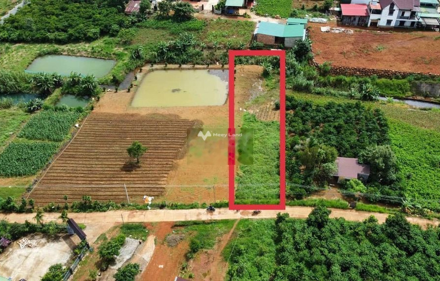 Nằm tại Khúc Thừa Dụ, Bảo Lộc bán đất 2.4 tỷ diện tích chính là 707m2-01