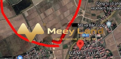 Quốc Lộ 37, Bắc Giang bán đất giá bán sang tên 3.8 tỷ dt là 180 m2-02