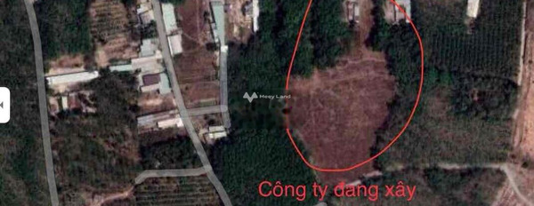 Giá bán bất ngờ từ 980 triệu bán đất có diện tích khoảng 115m2 vị trí đẹp tọa lạc trên Vĩnh Tân, Tân Uyên-03