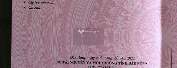 Do cần gấp tiền bán đất Nguyễn Hữu Cầu, Đắk Nông giá thỏa thuận 2.15 tỷ diện tích cụ thể 9000m2-02