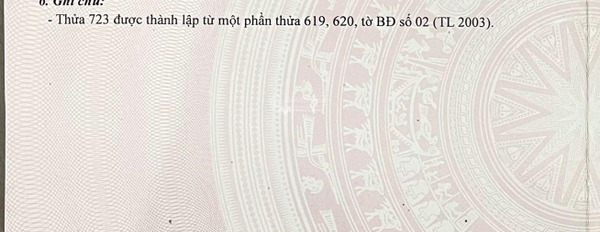 Vị trí đặt ngay tại Phú Hữu, Hồ Chí Minh bán đất giá siêu khủng 4.1 tỷ diện tích 78.2m2-02