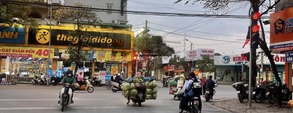 Bán ngay với giá chính chủ 16.8 tỷ cần bán kho bãi vị trí thuận lợi ngay tại Vân Nội, Đông Anh có diện tích 200m2 thích hợp kinh doanh-02