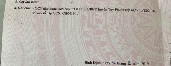 Cần bán nhà riêng huyện Tuy Phước tỉnh Bình Định-03