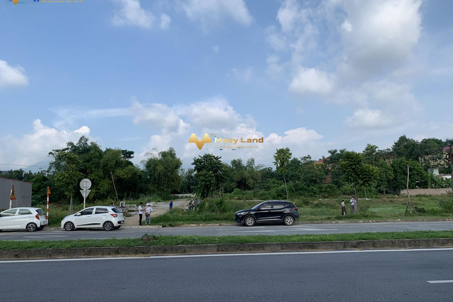 Bán đất tại xã Hoàng Hoa, Tam Dương, Vĩnh Phúc. Diện tích 150m2, giá thương lượng-01