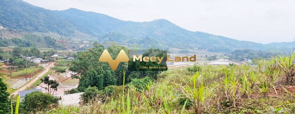 Cần bán đất vị trí đẹp nằm trên Thạch Yên, Cao Phong. Diện tích 2000m2, giá 1,15 tỷ-02